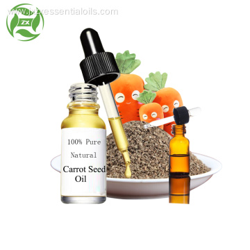 OEM natural organic 100% pure carrot seed oil